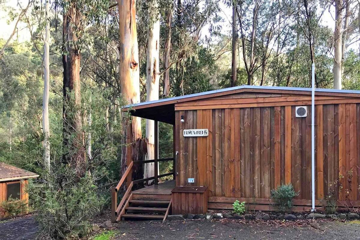 A wooden cabin with a metal roof, a staircase leading to the entrance, and a sign reading "BLUE VINE".
