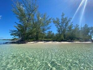 A beach with clear shallow waters, trees, and a sandy shore. - Waterfront Abaco Villa with Private Dock, Boat, Beach & Bonefishing (Abaco)
