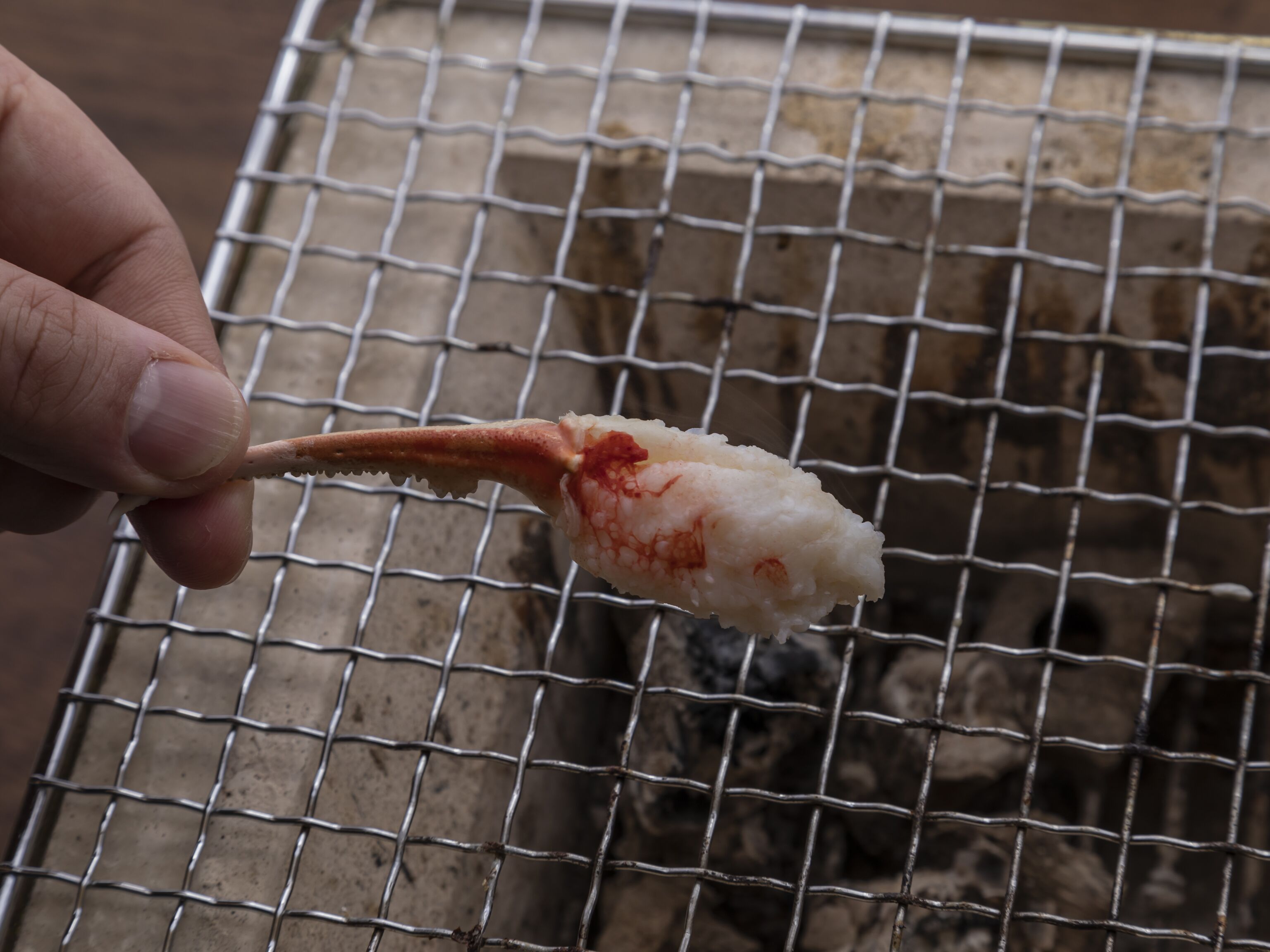 A hand holding a piece of food over a wire mesh.