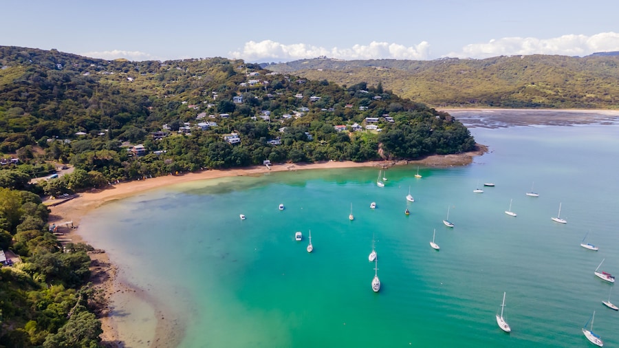 Koi Waiheke with private beach access