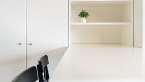 Une pièce minimaliste aux murs et au sol blancs, avec une seule plante en pot posée sur une étagère.