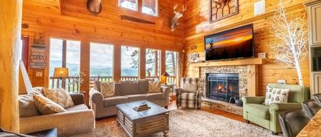 Télévision, cheminée, jeux vidéo