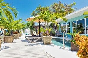 Immagine non classificata, 2 di 35, pulsante