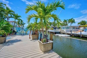 Immagine non classificata, 4 di 35, pulsante