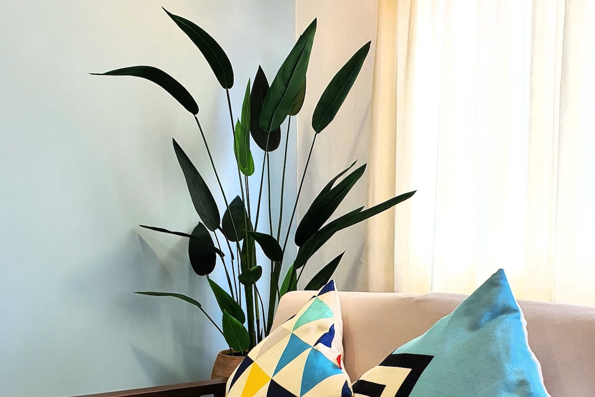 Ein beiges Sofa mit zwei Kissen, eines mit geometrischem Muster und das andere mit Zickzackmuster, vor einer hellblauen Wand.
