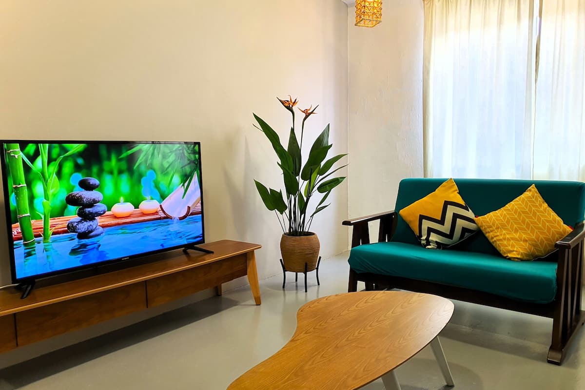 Ein Wohnzimmer mit Fernseher auf Holzfuß, einem grünen Sofa mit gemusterten Kissen, einem kleinen Holztisch und einem Blumentopf.