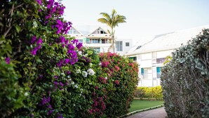 A pathway lined with lush green hedges and vibrant pink and white flowers, leading to a building with a white facade and a sloped roof. - Cosy studio, beach access (Le Gosier)