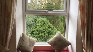 Ein Fenster mit zwei Kissen auf einem roten Teppich, mit Blick auf einen dichten grünen Wald.