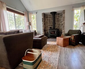 Smart TV, fireplace, DVD player, books