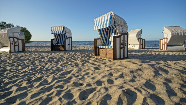 Strandliegen mit Nummern, auf einem Sandstrand bei blauem Himmel aufgereiht.