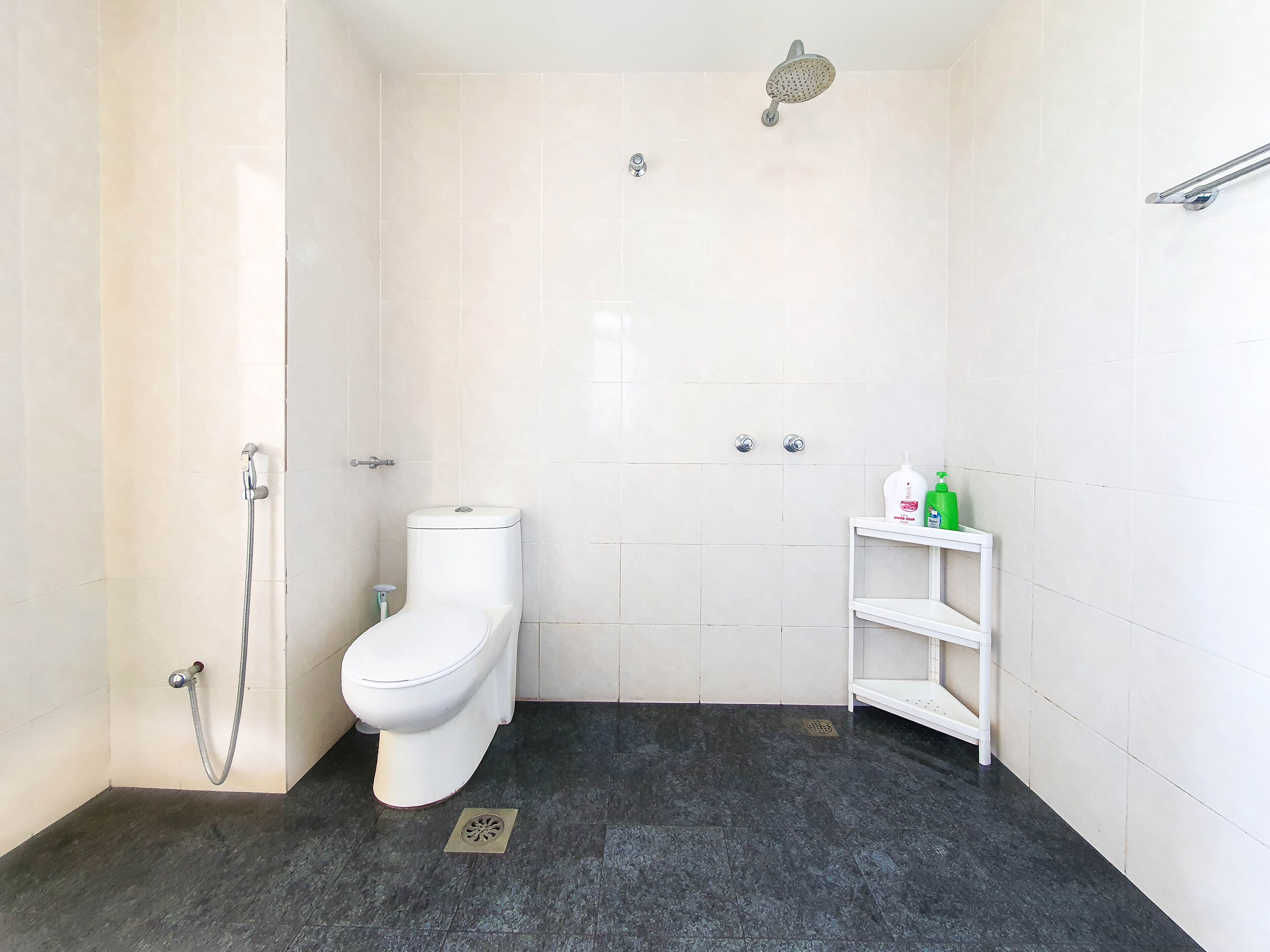 Et badeværelse med toilet, bruser og et hylder med toiletartikler.
