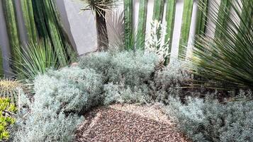 House, 4 Bedrooms, Smoking, Patio | Garden