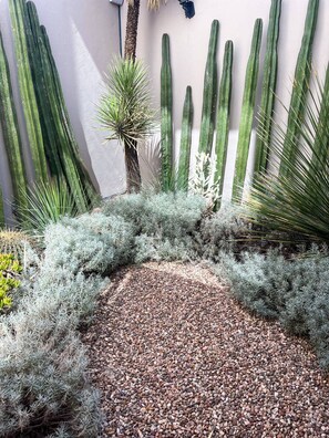 House, 4 Bedrooms, Smoking, Patio | Garden - Malen House San Miguel de Allende Mexico (San Miguel de Allende)