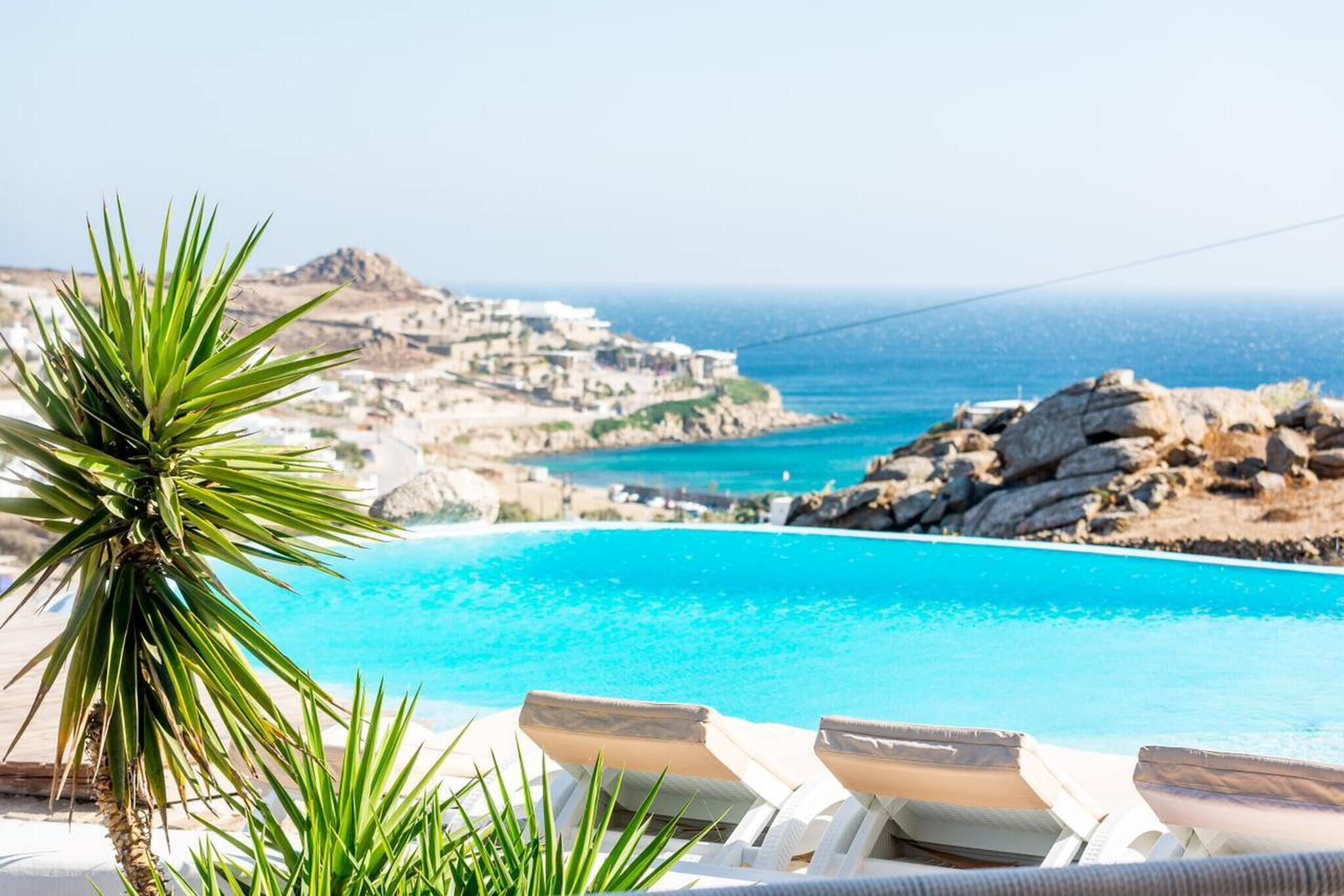 A pool with clear blue water, surrounded by white lounge chairs and a palm tree.