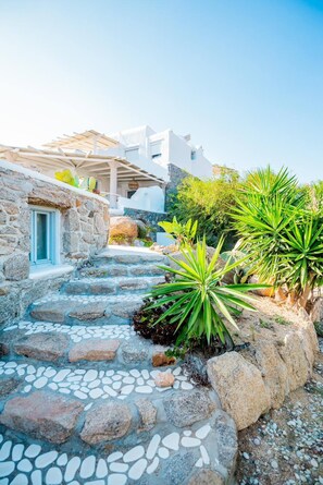 A stone pathway leading to a white building with a blue door, surrounded by green plants and rocks.