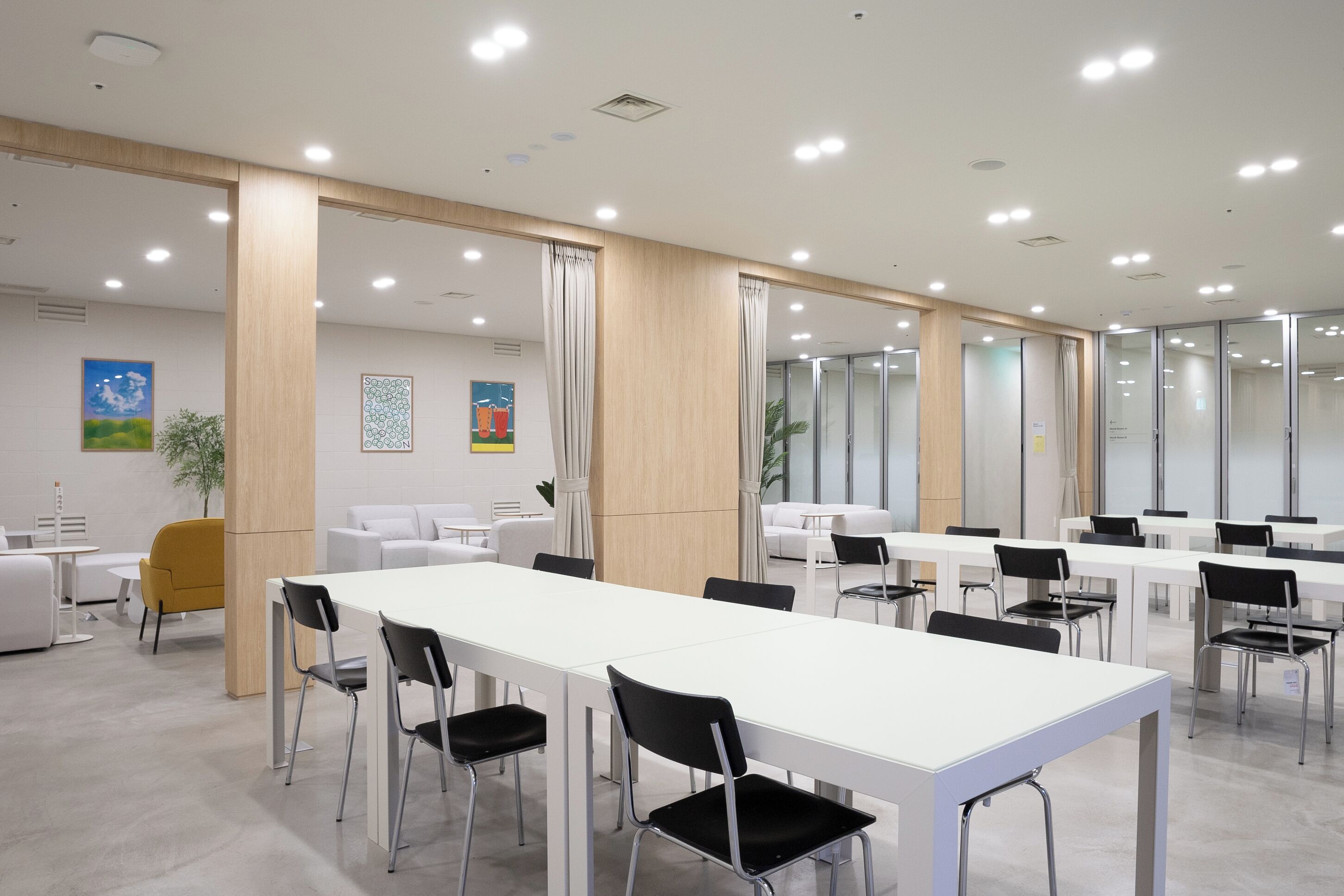 Photo - Mangrove Sinseol