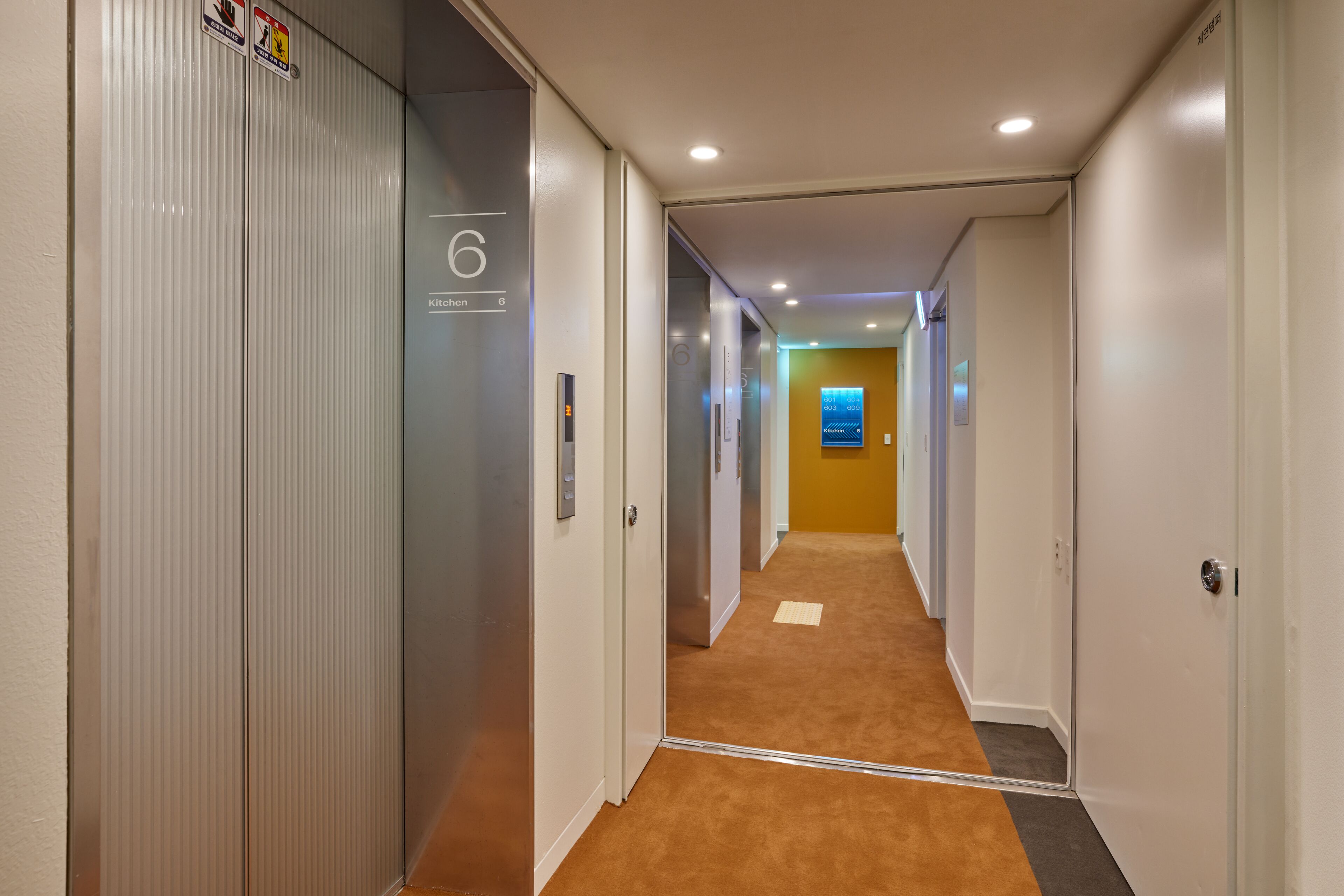 Photo - Mangrove Sinseol