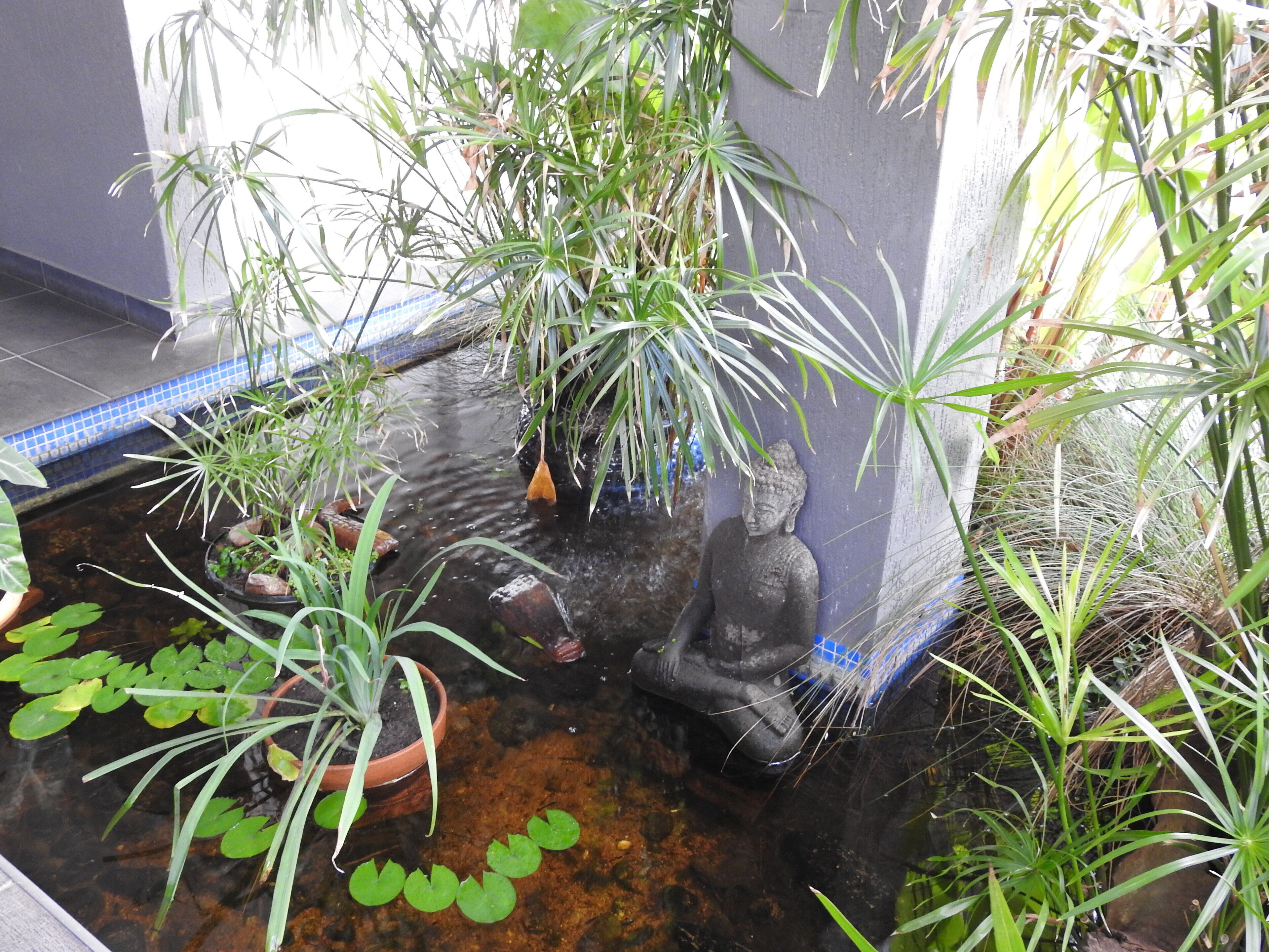 A small indoor water feature with a Buddha statue, surrounded by various plants and a tiled border.