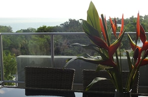 Property grounds - Harbour Views - luxury in the heart of Darwin (Larrakeyah)