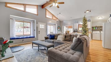 Smart TV, fireplace, books