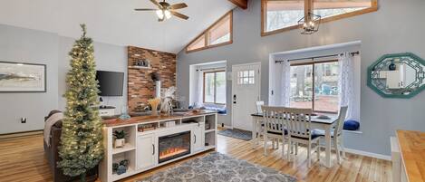 Smart TV, fireplace, books