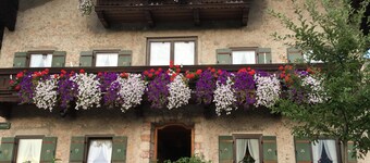 Apartment 3, 30 sqm, 1-2 persons, living-bedroom, kitchen, bathroom