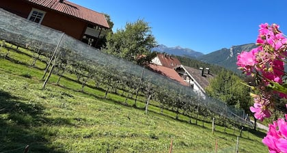 Apartment 3, 30 sqm, 1-2 persons, living-bedroom, kitchen, bathroom