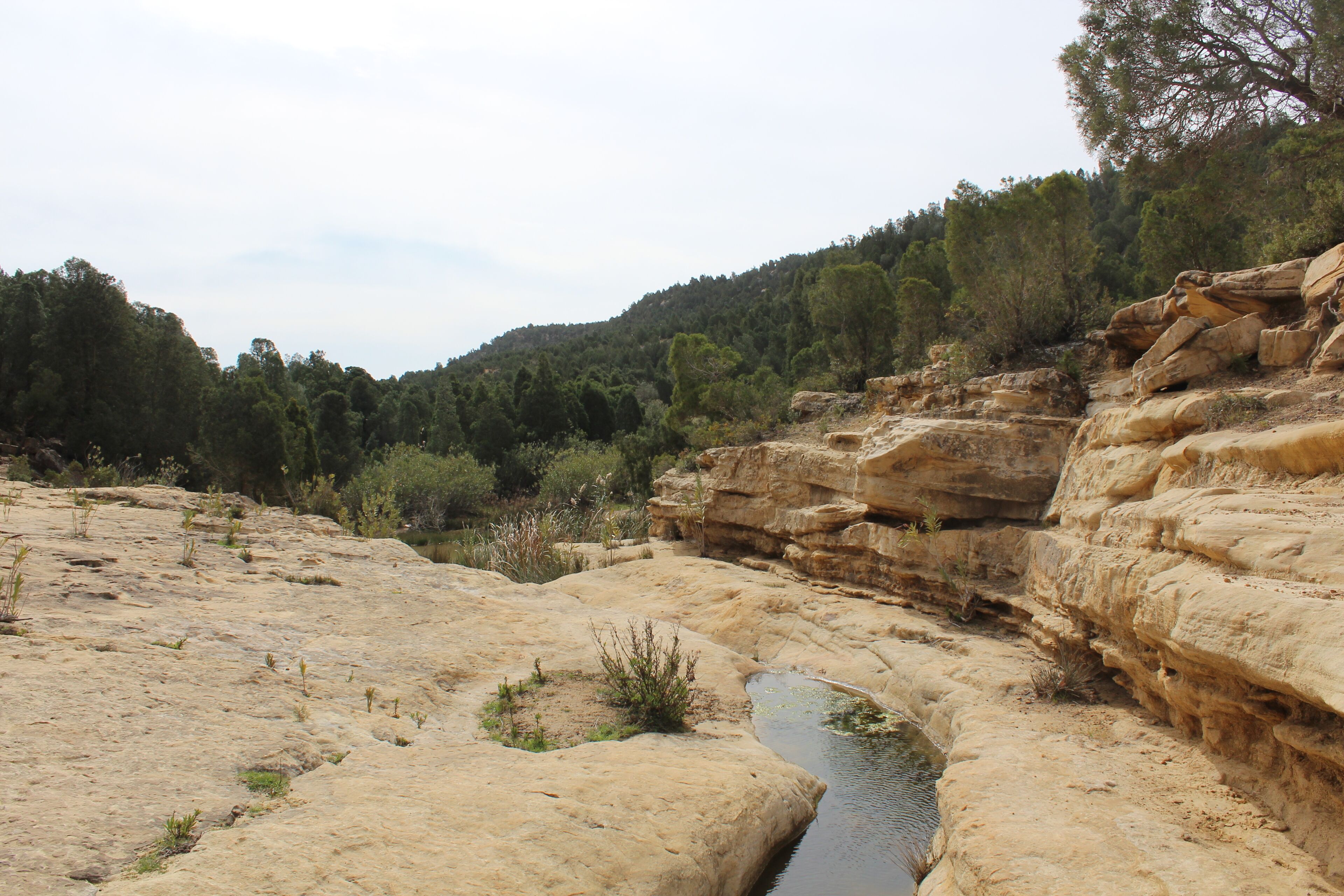 A natural landscape with a rocky terrain and a small water body.