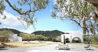 Villa in the Mountains Hammamet