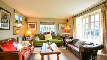 30-inch TV with digital channels, fireplace