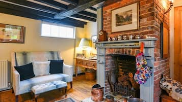 Télévision de 30 pouces avec chaßnes numériques, cheminée