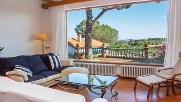 Télévision, cheminée, lecteur de DVD