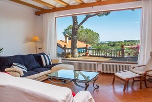 TV, fireplace, DVD player