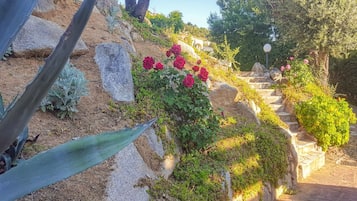 Jardines del alojamiento