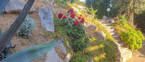 Terrain de lâhĂ©bergement