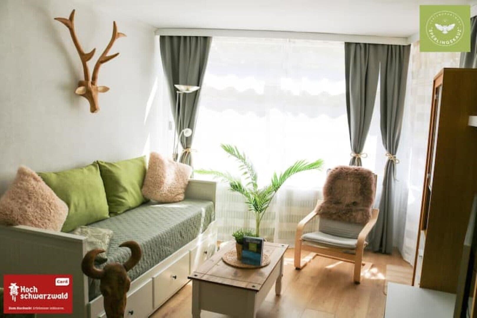 Smart TV, tavolo da calcetto, tavolo da ping pong, libri