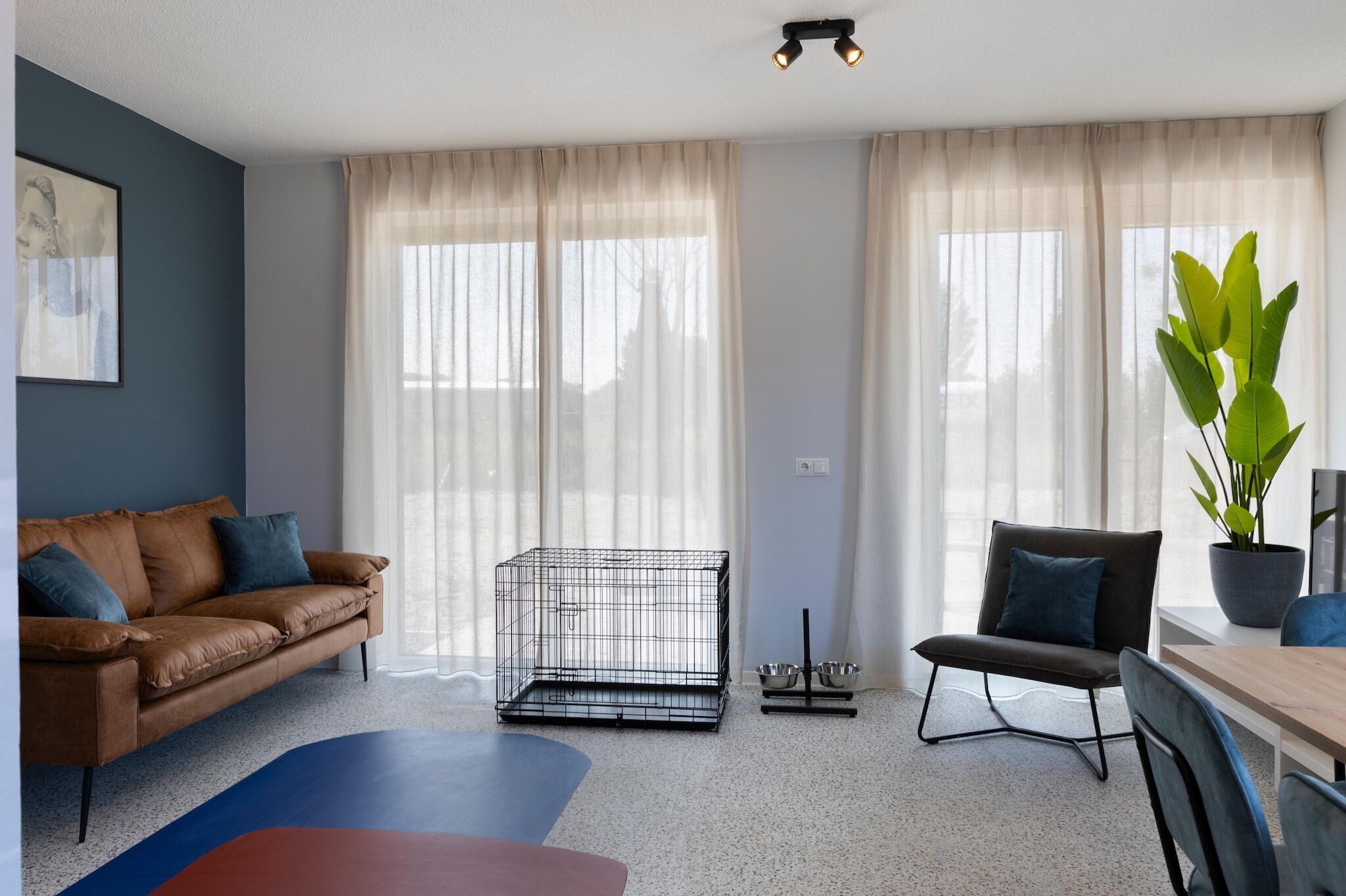 A modern living room with a brown leather sofa, a dining table with chairs, a metal pet cage, and a potted plant.