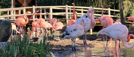 Parco della struttura