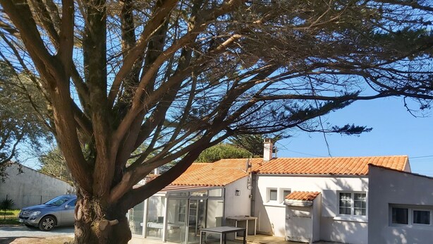 A house with a tiled roof, a large tree in front, and a car parked nearby.