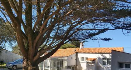 DOMINO, renovated 4-bedroom house, 150 m from the small beach.