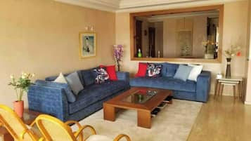 TV connectée, cheminée, lecteur de DVD, livres