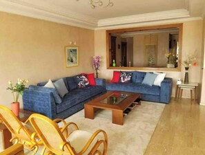 TV connectée, cheminée, lecteur de DVD, livres