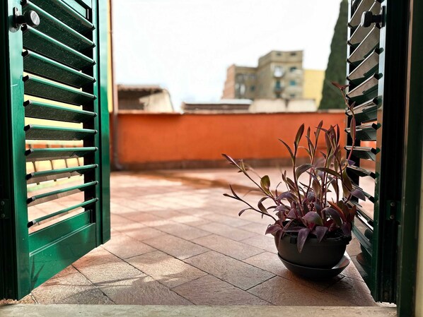 Property grounds - Campobasso (Roma)
