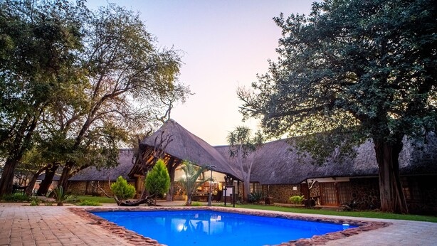 A pool surrounded by thatched-roof buildings, with trees and a paved walkway. - Kilima Private Game Reserve and Spa (Kareeberg)