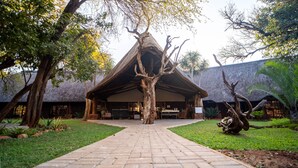A lodge with a thatched roof, a central tree, and a brick pathway leading to the entrance. - Kilima Private Game Reserve and Spa (Kareeberg)