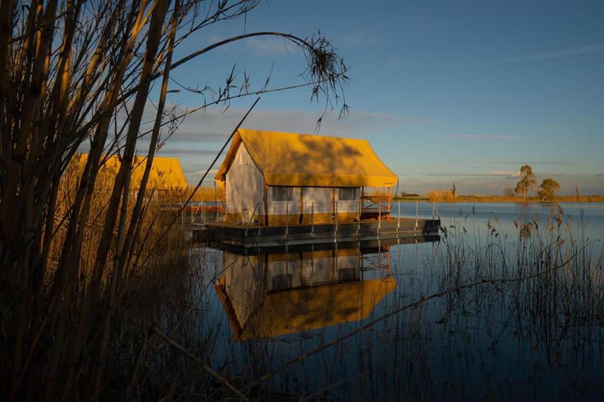 Une péniche avec un toit jaune, amarrée sur un lac paisible, entourée de roseaux et d’arbres.