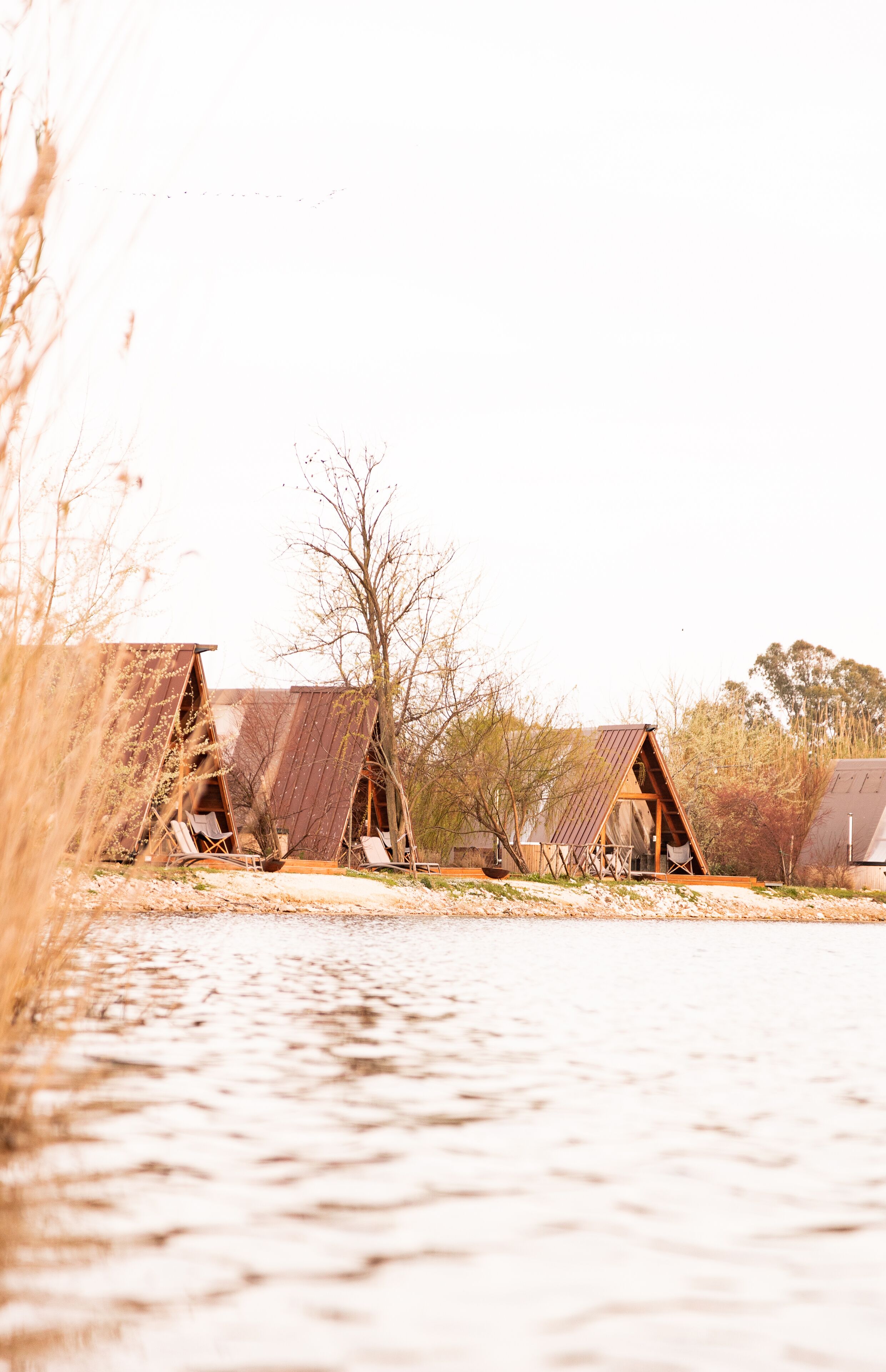 Tenda bordo Lago con vasca idromassaggio | Minibar, in-room safe, desk, free WiFi