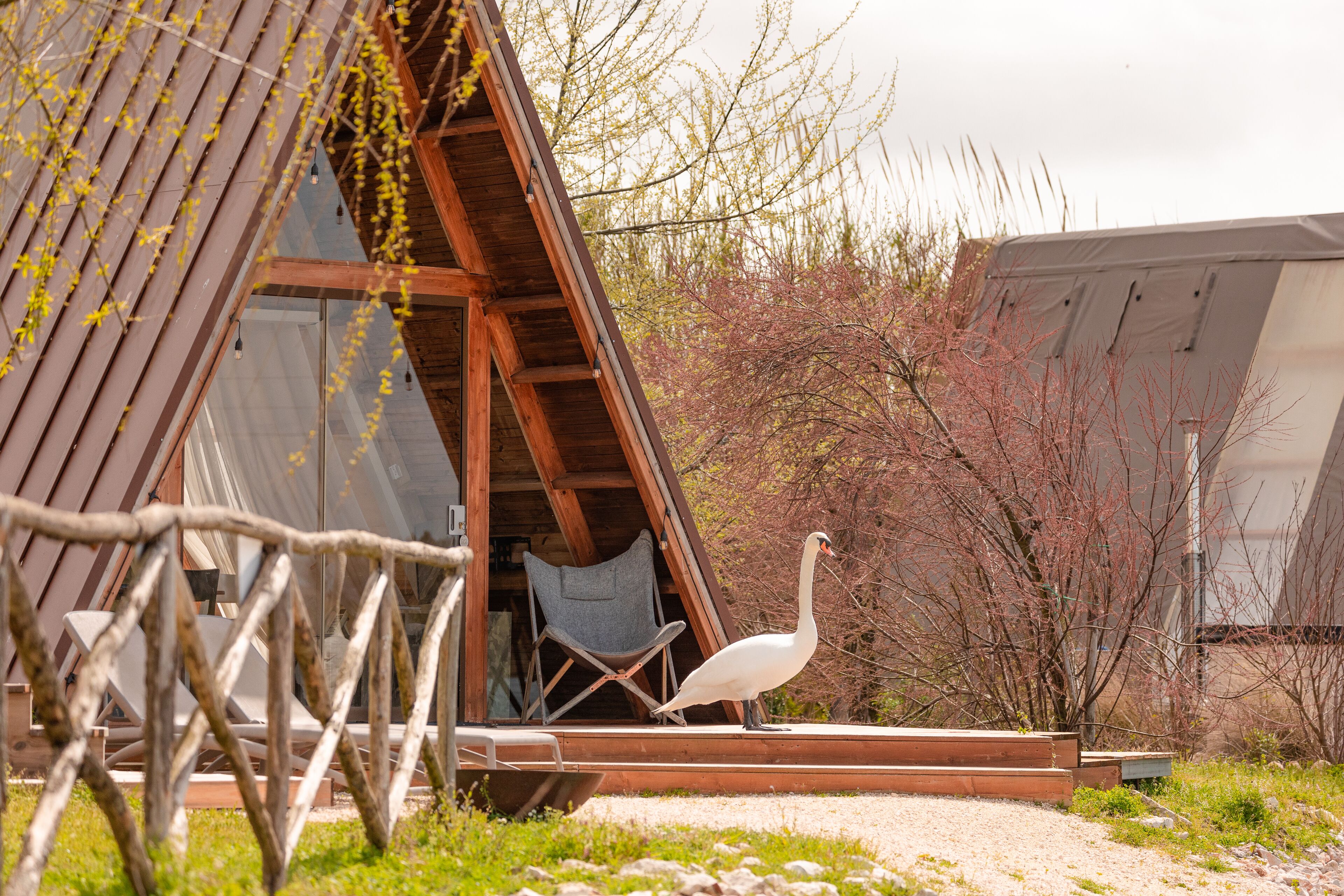 A wooden cabin with a sloped roof, a covered porch, and a bird standing on the porch.
