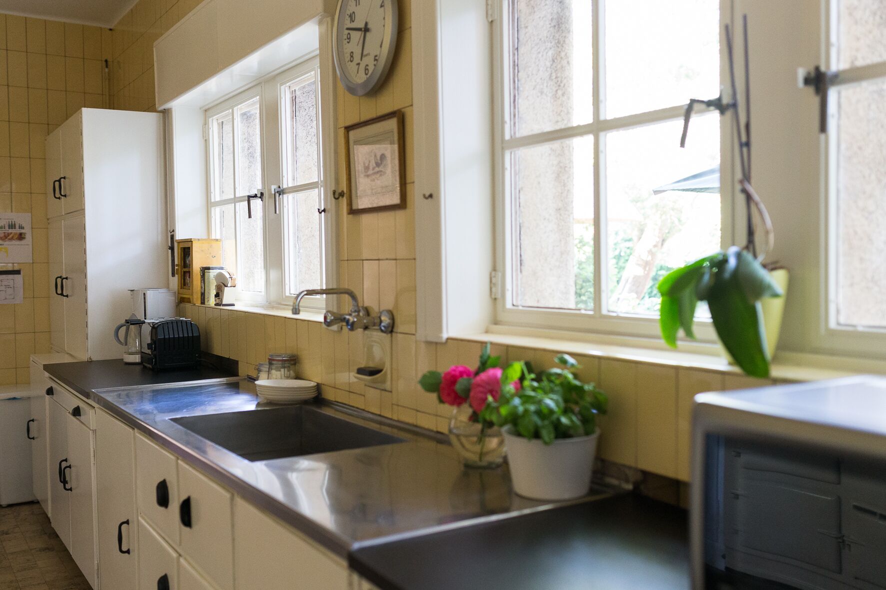 A kitchen with a sink, countertop, cabinets, a clock, and a window with a plant.