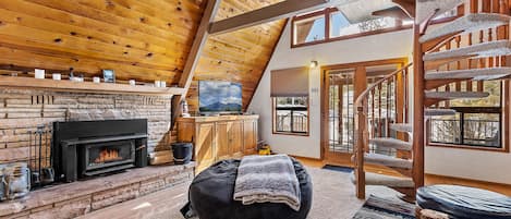 Télévision, cheminée, livres